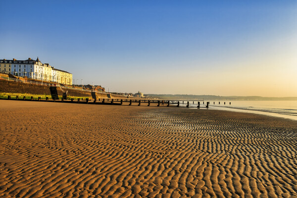 SunKissed Walk on the Yorkshire Coast Picture Board by Tim Hill