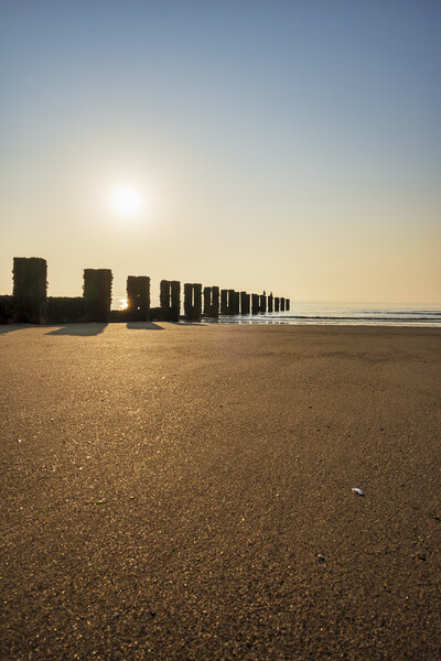 Serenity on Bridlington Beach Picture Board by Tim Hill