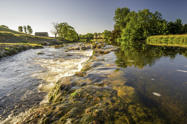 Linton Falls, River Wharfe, Yorkshire Dales Picture Board by Tim Hill