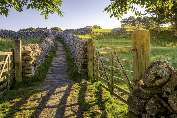 Sunrise Path through Yorkshire Countryside Picture Board by Tim Hill