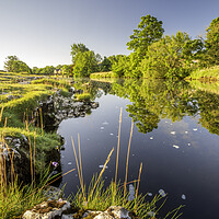 Buy canvas prints of River Wharfe in summertime, Yorkshire Dales by Tim Hill