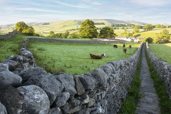 Grassington Yorkshire Dales Picture Board by Tim Hill