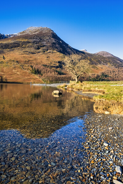 Winter Fishermen at Buttermere Picture Board by Tim Hill