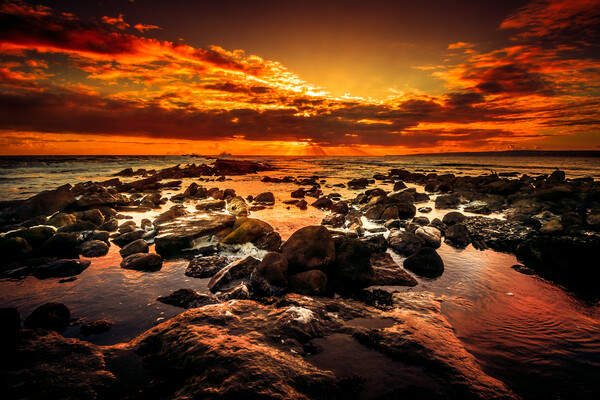 Burning Sunrise Filey Brigg Yorkshire Picture Board by Tim Hill