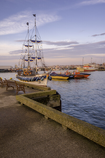 Bridlington Harbour, East Yorkshire Picture Board by Tim Hill