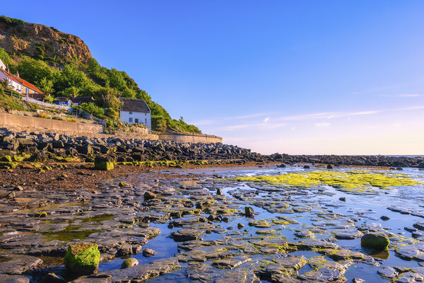 Runswick Bay at Low Tide Picture Board by Tim Hill