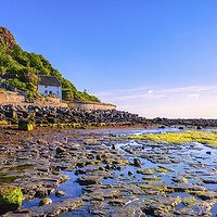 Buy canvas prints of Runswick Bay at Low Tide by Tim Hill