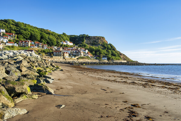 Runswick Bay Yorkshire Cliffside Village Picture Board by Tim Hill