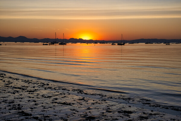 Golden Sunrise over Abersoch Bay Picture Board by Tim Hill