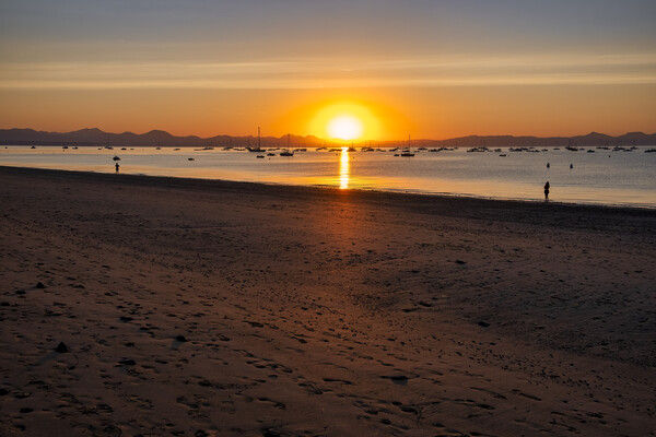 Abersoch beach sunrise Picture Board by Tim Hill