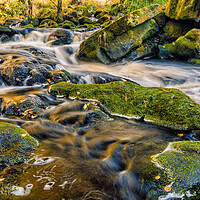 Buy canvas prints of Yorkshire Dales Stream by Tim Hill