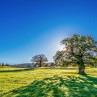 Buy canvas prints of Yorkshire Dales Meadow by Tim Hill