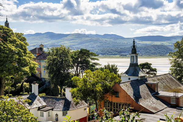 Portmeirion to the Dwyryd Estuary Picture Board by Tim Hill
