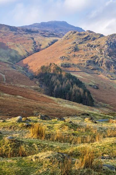 Great Langdale leading to Pike Of Blisco Picture Board by Tim Hill
