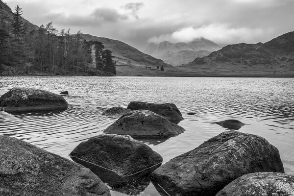 The Langdale Pikes from Blea Tarn Picture Board by Tim Hill