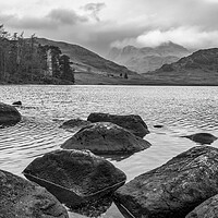Buy canvas prints of The Langdale Pikes from Blea Tarn by Tim Hill