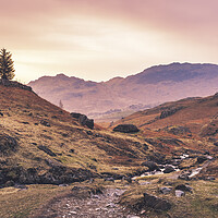 Buy canvas prints of Lingmoor Fell Lake District Cumbria by Tim Hill