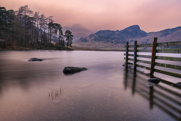 Blea Tarn towards Langdale Pikes in Cumbria Picture Board by Tim Hill