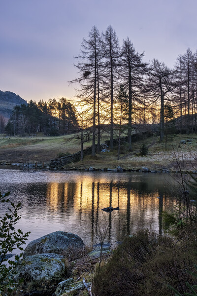 Blea Tarn, Little Langdale valley, Lake District Picture Board by Tim Hill