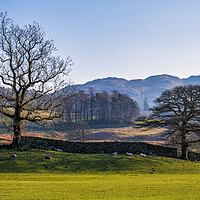 Buy canvas prints of Elterwater Landscape The Lakes Cumbria by Tim Hill
