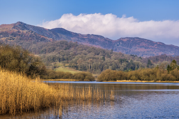 Elterwater Lake District National Park Picture Board by Tim Hill