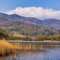 Buy canvas prints of Elterwater Lake District National Park by Tim Hill