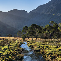 Buy canvas prints of Serene Sunrise in Buttermere by Tim Hill