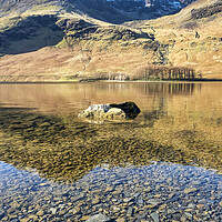 Buy canvas prints of Buttermere pines, fells and mountains by Tim Hill