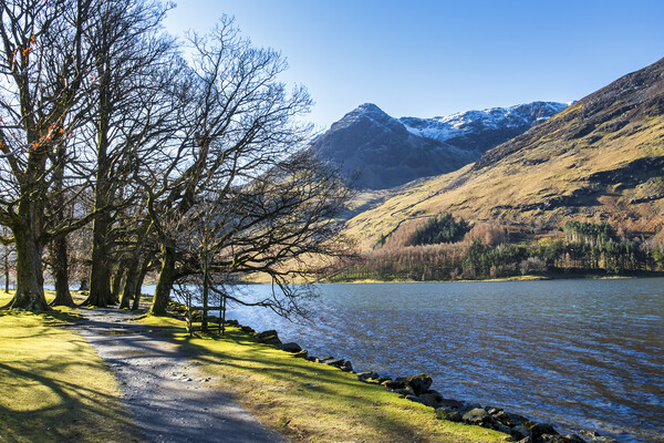 Haystacks and Fleetwith Pike Buttermere Picture Board by Tim Hill