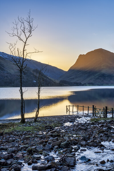 Serenity at Buttermere Picture Board by Tim Hill