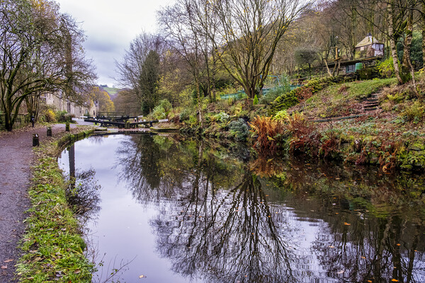 Serene Beauty of Rochdale Canal Picture Board by Tim Hill