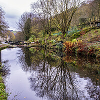 Buy canvas prints of Serene Beauty of Rochdale Canal by Tim Hill