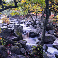 Buy canvas prints of Autumn at Padley Gorge by Tim Hill