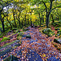 Buy canvas prints of Padley Gorge in Autumn by Tim Hill