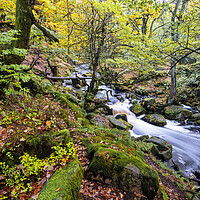 Buy canvas prints of Burbage Brook Padley Gorge by Tim Hill