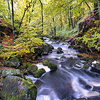 Buy canvas prints of Padley Gorge In Autumn by Tim Hill