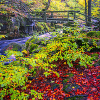 Buy canvas prints of Padley Gorge Beautiful Autumn by Tim Hill