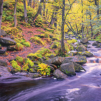 Buy canvas prints of Enchanting Autumn Walk in Padley Gorge by Tim Hill