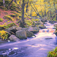 Buy canvas prints of Enchanting Autumn Scene in Padley Gorge by Tim Hill
