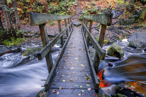 Wooden Bridge Padley Gorge Picture Board by Tim Hill