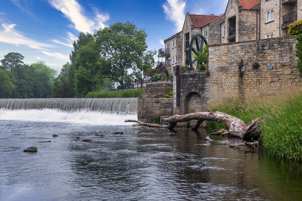 Majestic Weir in the Heart of West Yorkshire Picture Board by Tim Hill