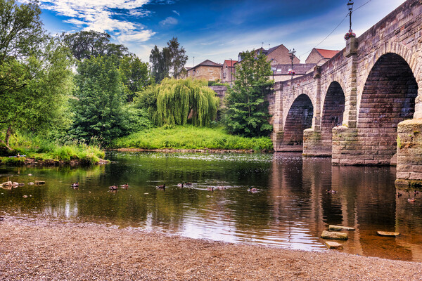 Serene Summertime on Wetherby Bridge Picture Board by Tim Hill