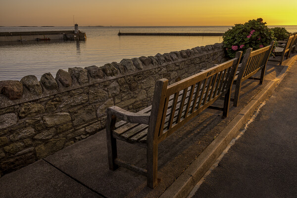 Benches at Seahouses looking towards the Farnes Picture Board by Tim Hill