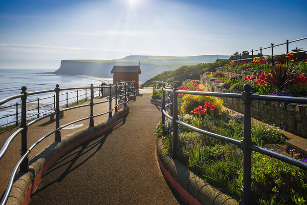 Spring sunshine at Saltburn by the sea Picture Board by Tim Hill