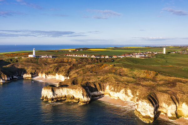Three bays at Flamborough Head Picture Board by Tim Hill
