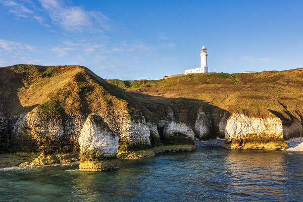 Flamborough sea stack and Lighthouse Picture Board by Tim Hill