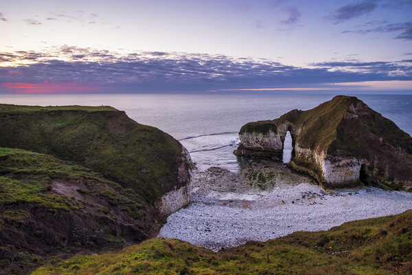 The Drinking Dinosaur, Flamborough Head  Picture Board by Tim Hill
