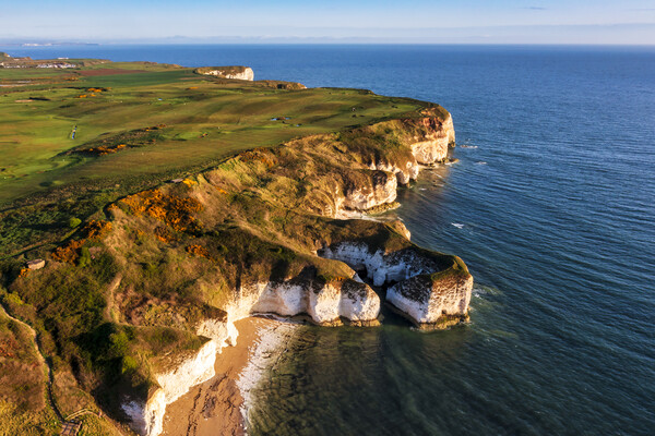 Flamborough Cliffs East Yorkshire Picture Board by Tim Hill