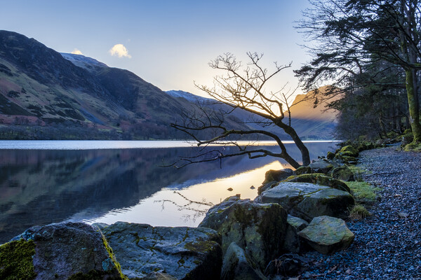 Golden Sunrise over Fleetwith Pike Picture Board by Tim Hill