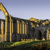 Buy canvas prints of Bolton Abbey Yorkshire Dales by Tim Hill